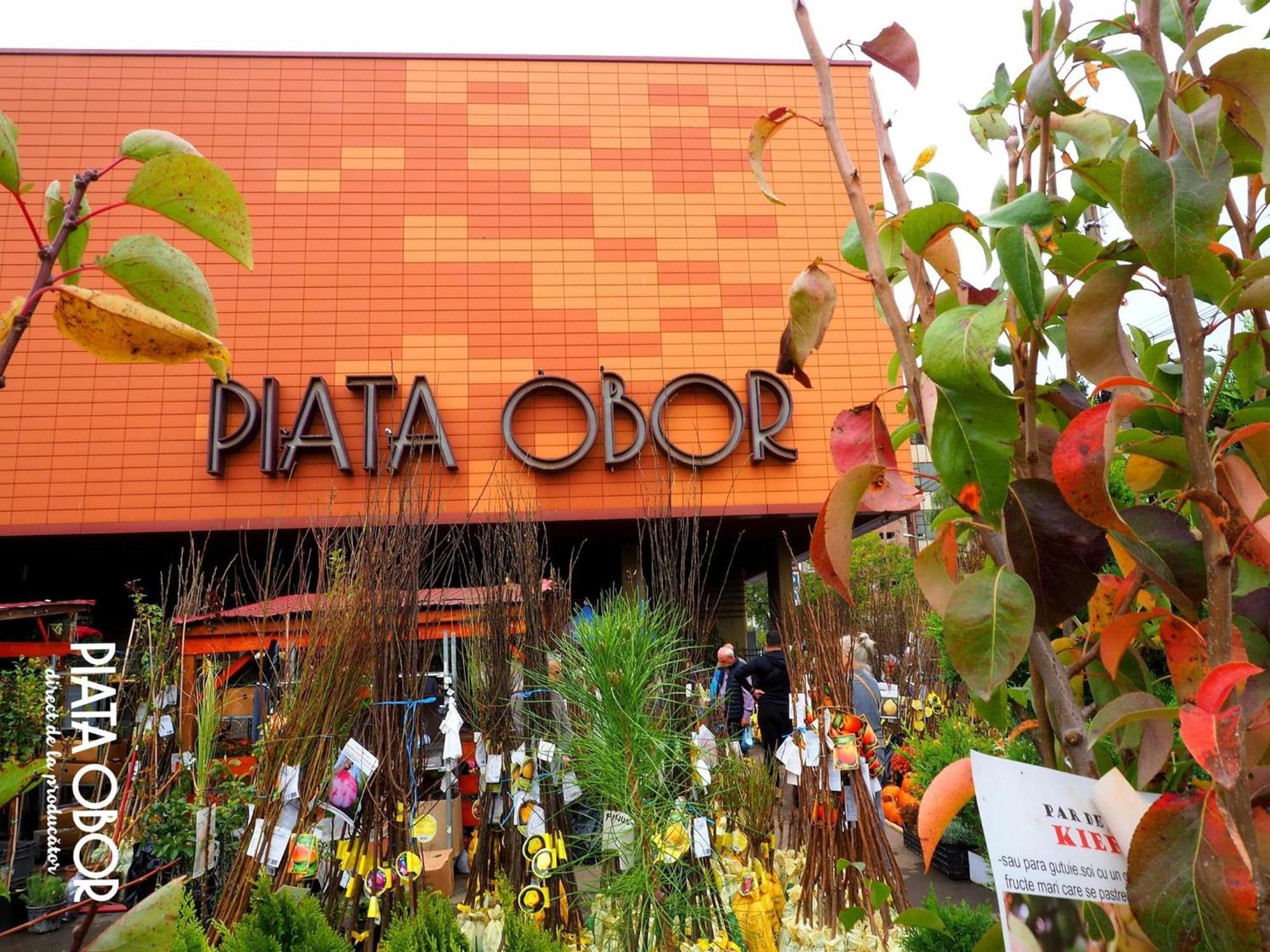 Cozy City Retreat, Obor Market & Metro Bucarest Exterior foto